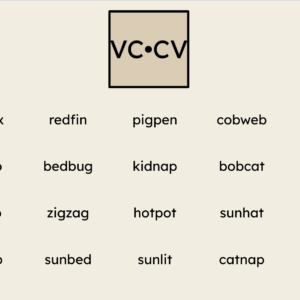 Orton-Gillingham Virtual Phonics Lesson: VC•CV Compound Words